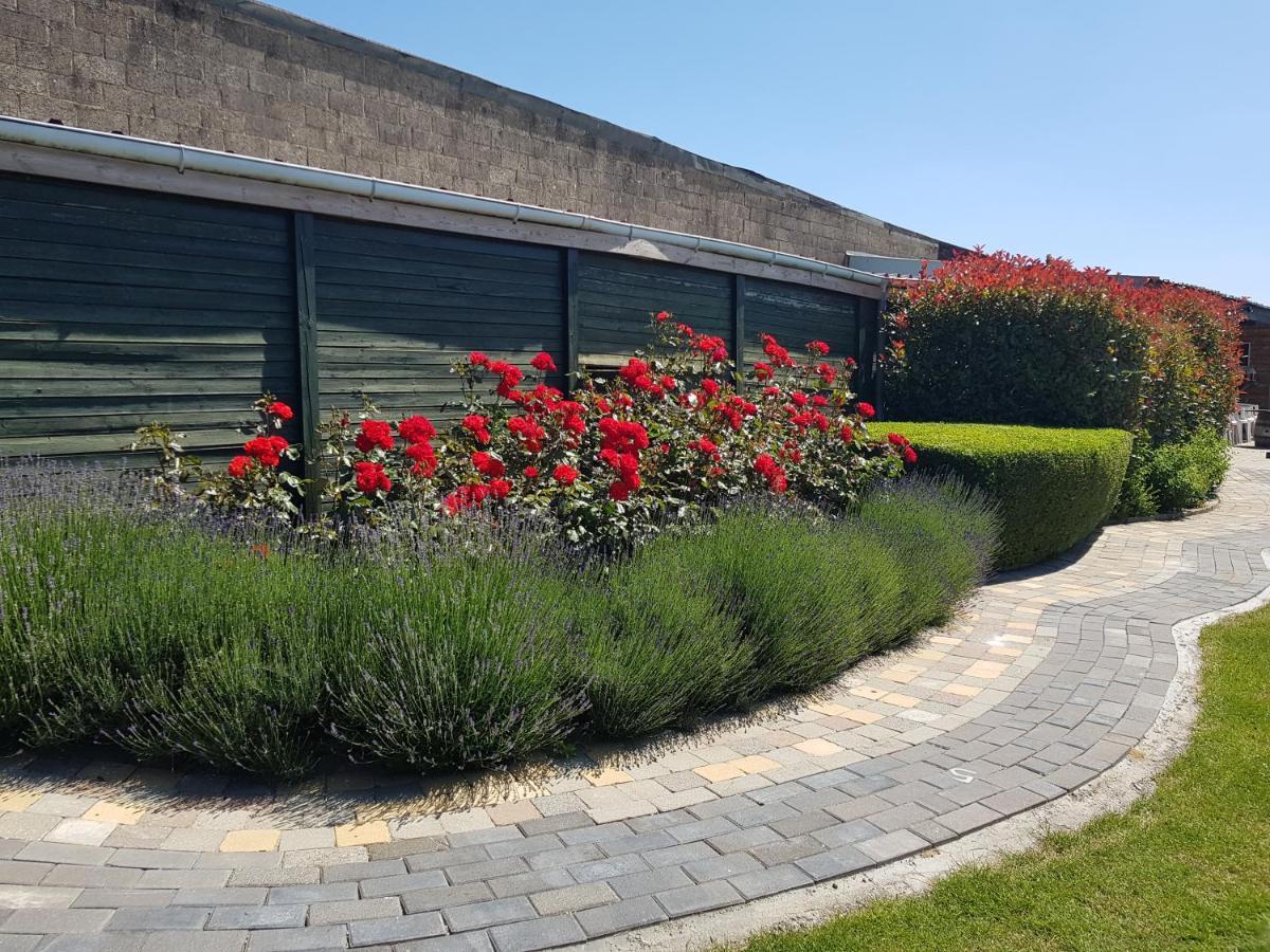 De Achtertuin Apartment Maasmechelen Bagian luar foto