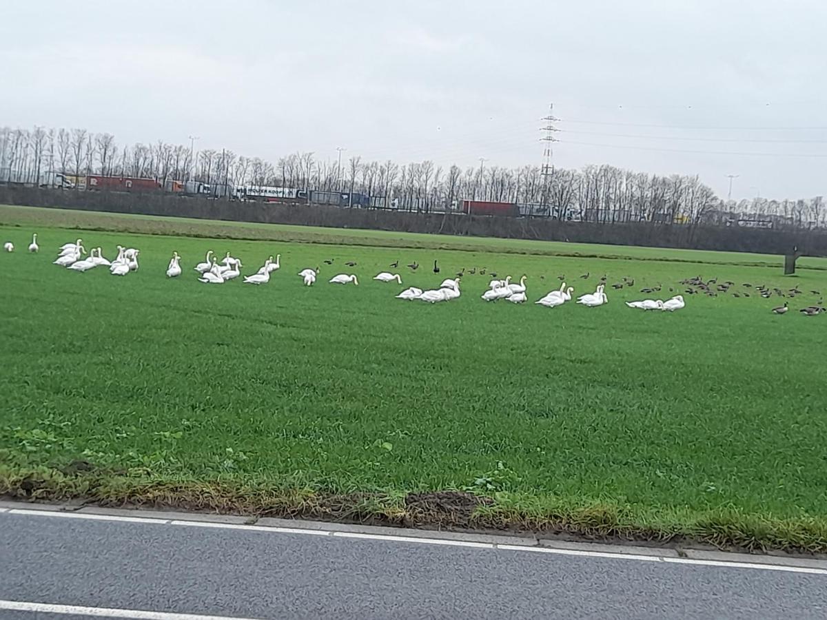 De Achtertuin Apartment Maasmechelen Bagian luar foto